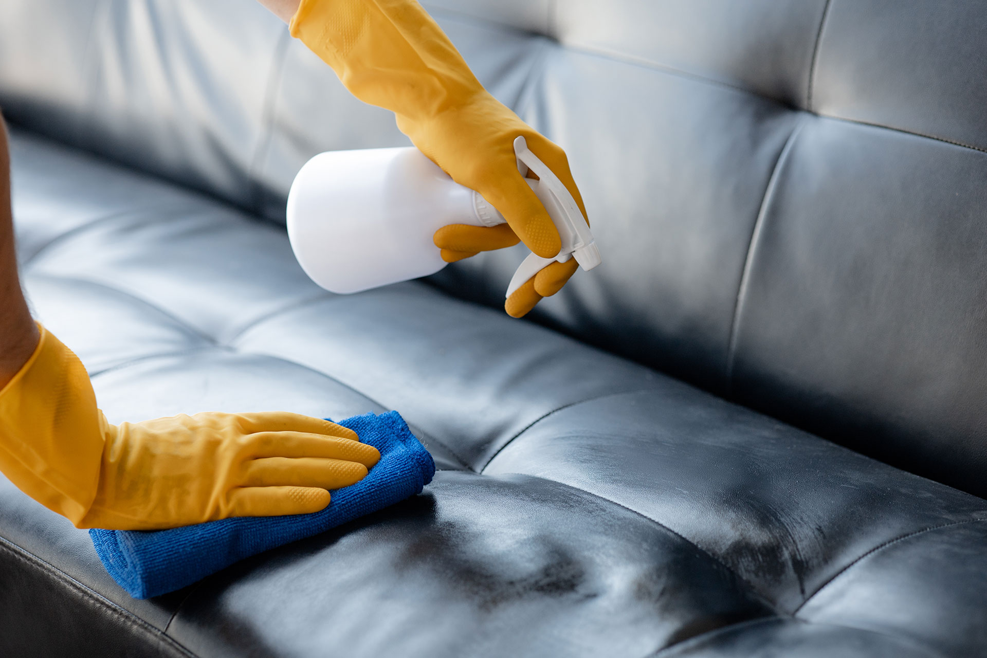 Person cleaning a sofa